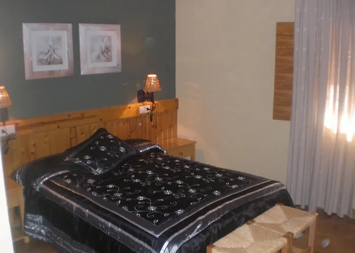 Отель Roch *